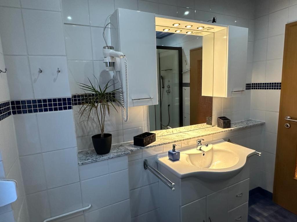 Christels Ferienwohnung 2 In Thale Mit Ueberdachter Terrasse, Kueche Mit Tv & Geschirrspueler ภายนอก รูปภาพ